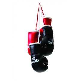 Mini gants de boxe Daedo