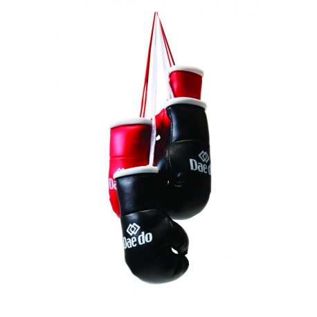 Mini gants de boxe Daedo