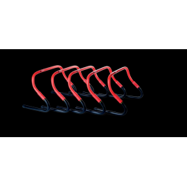 Ensemble de haies Pure2Improve Sprint 2