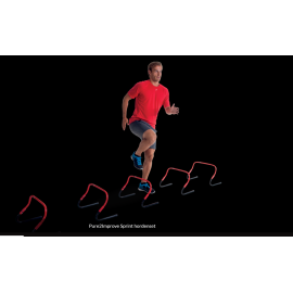 Ensemble de haies Pure2Improve Sprint