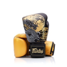 FAIRTEX BFBGV26 LIMITED EDITION “HARMONY SIX” TRAININGSHANDSCHOENEN 2
