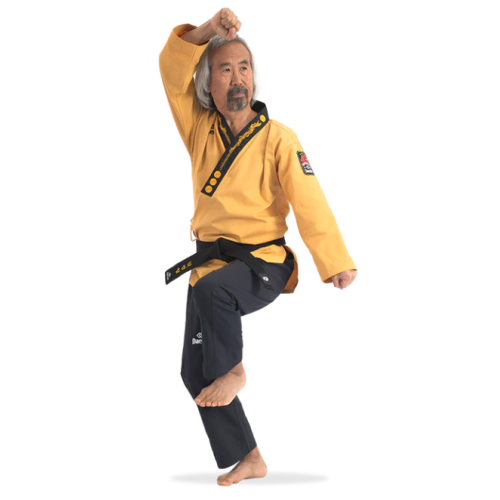 DOBOK POOMSAE GRAND MAÎTRE AVEC BRODERIE PHOENIX