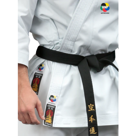 KARATEGI "PRO BUNKAI"