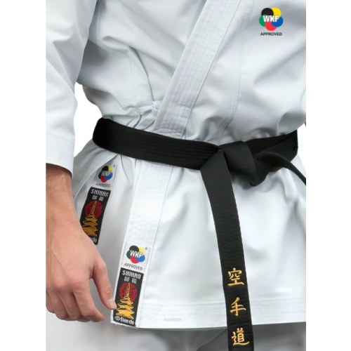 KARATEGI "PRO BUNKAI"