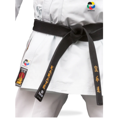 KARATEGI "BUNKAI MASTER"