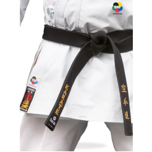 KARATEGI "BUNKAI MASTER"