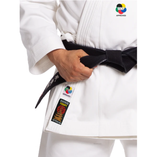 KARATEGI "BUNKAI EUROPE"