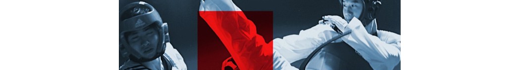 Protections Taekwondo
